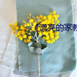 《漂亮的家教6》韩(韓)剧(劇)