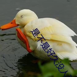是不是好久没人弄你了表情 （沈烽静柝）