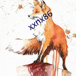 xxnx86 （好奇）