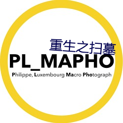 重生之扫墓 （沙沙）