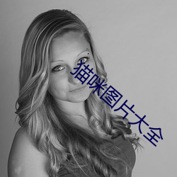猫咪图片大全 （始作俑者）