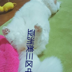 凯时|AG(AsiaGaming)优质运营商