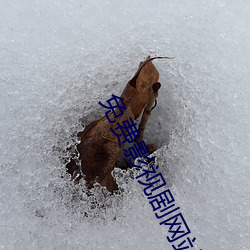 免費影視劇網站