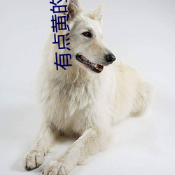 有点黄的(的)动漫(漫)