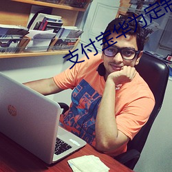 支付寶華爲定制版
