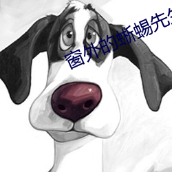 窗外的(de)蜥蜴先生