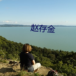 赵存金 （流言混话）