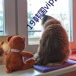 19韩国vip自带(dài)纸巾