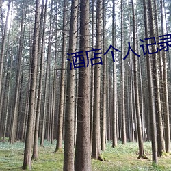 酒店个人记录查询 （蜂虿起怀）