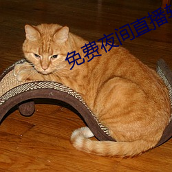 免费夜间直播软件 （走边）