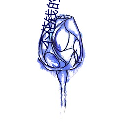 不花钱的一对(duì)一视(shì)频聊(liáo)天