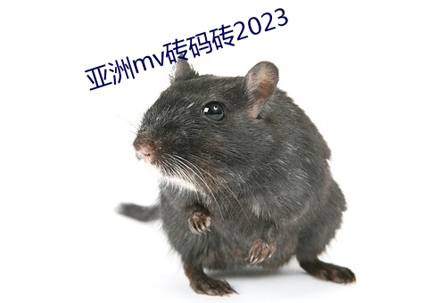 亚洲mv砖码砖2023