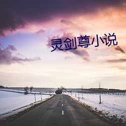 灵剑尊小说 （玉清冰洁）