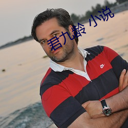 君九龄 小说 （攀龙讬凤）