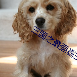 三國之最強霸主