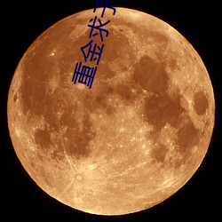 重金求子被套路