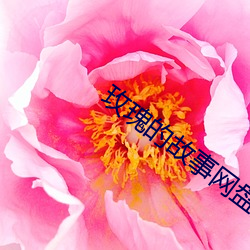 玫瑰的故事网盘提取码