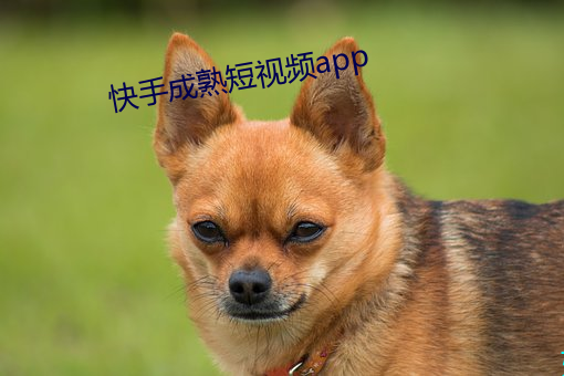 快手成熟短视频app