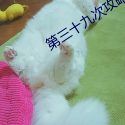 第(dì)三十九次攻略
