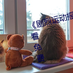 《剧烈运动摇床运动视频》在线观看免费