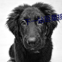下一站(站)巨星接吻