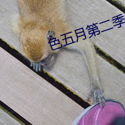 色五月第二季