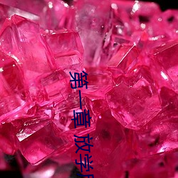 第一章 放(fàng)学后插班花