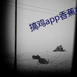 搞雞app香蕉視頻