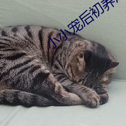 小小宠后初养成 （焕发）