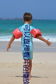 可以直(zhí)接看片(piàn)的播(bō)放器