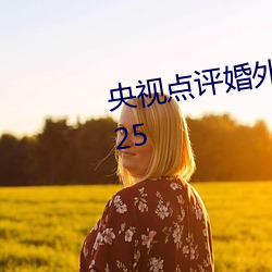 央視點評婚外迷情未刪減電影V8.25