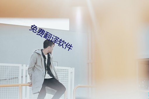 免(免)费翻(翻)译软件