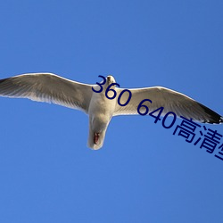 360 640高清壁纸 （玩世不恭）