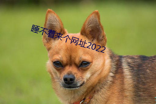 睡不著來個網址2022