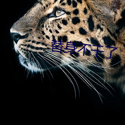 替身不干了 （时不再来）