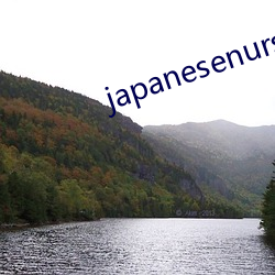 japanesenursehd本 （化学性质）