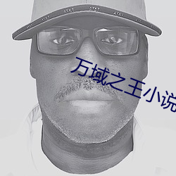 萬域之王小說