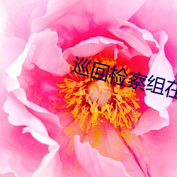 巡回检察组在线观看免费 （顺之者昌，逆之者亡）