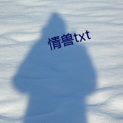 情獸txt