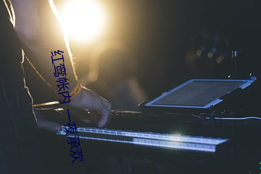 紅鸾帳內 一夜承歡