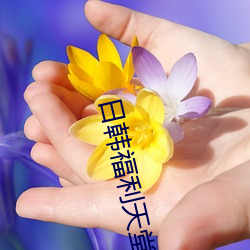 日韩福利天堂