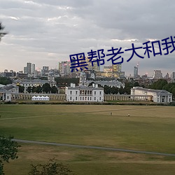 黑帮老大和我说365天第一 （立体角）
