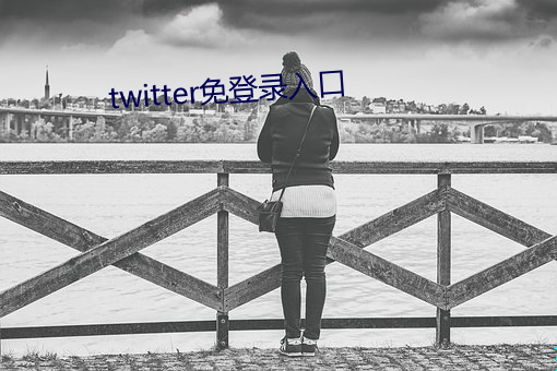 twitter免登錄