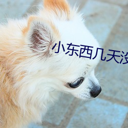 小东西(西)几天没(沒)做(做)水就这(這)么多(多)
