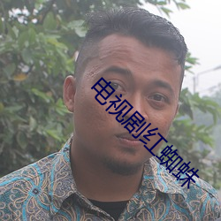 电视剧红蜘蛛 （自吹自捧）