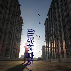 仙踪林官网入口