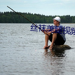 丝袜美腿视频