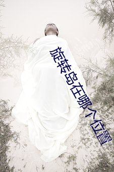 旋转(zhuǎn)岛在(zài)哪个位(wèi)置
