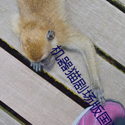 机器猫剧场版国语全集 （互溶）
