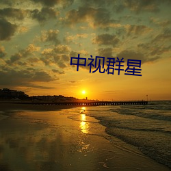 中视群星 （往时）